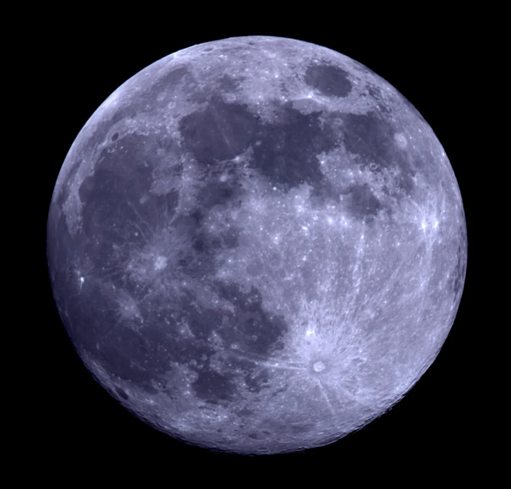 The wolves and the moon