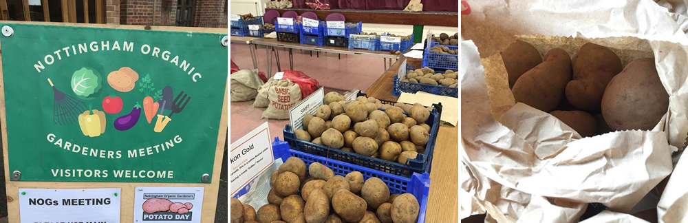 Nottingham Organic Gardeners potato day