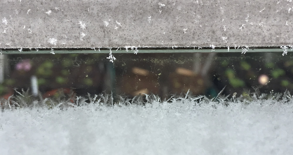 Frosty glasshouse window
