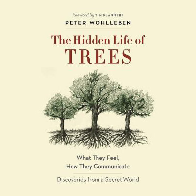 The Hidden Life of Trees book cover