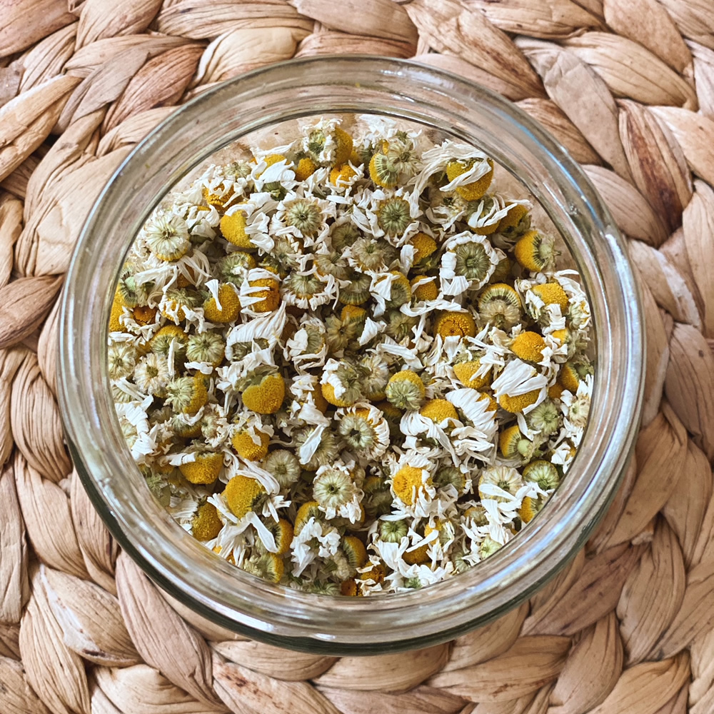 Dried chamomile flowers in a jar
