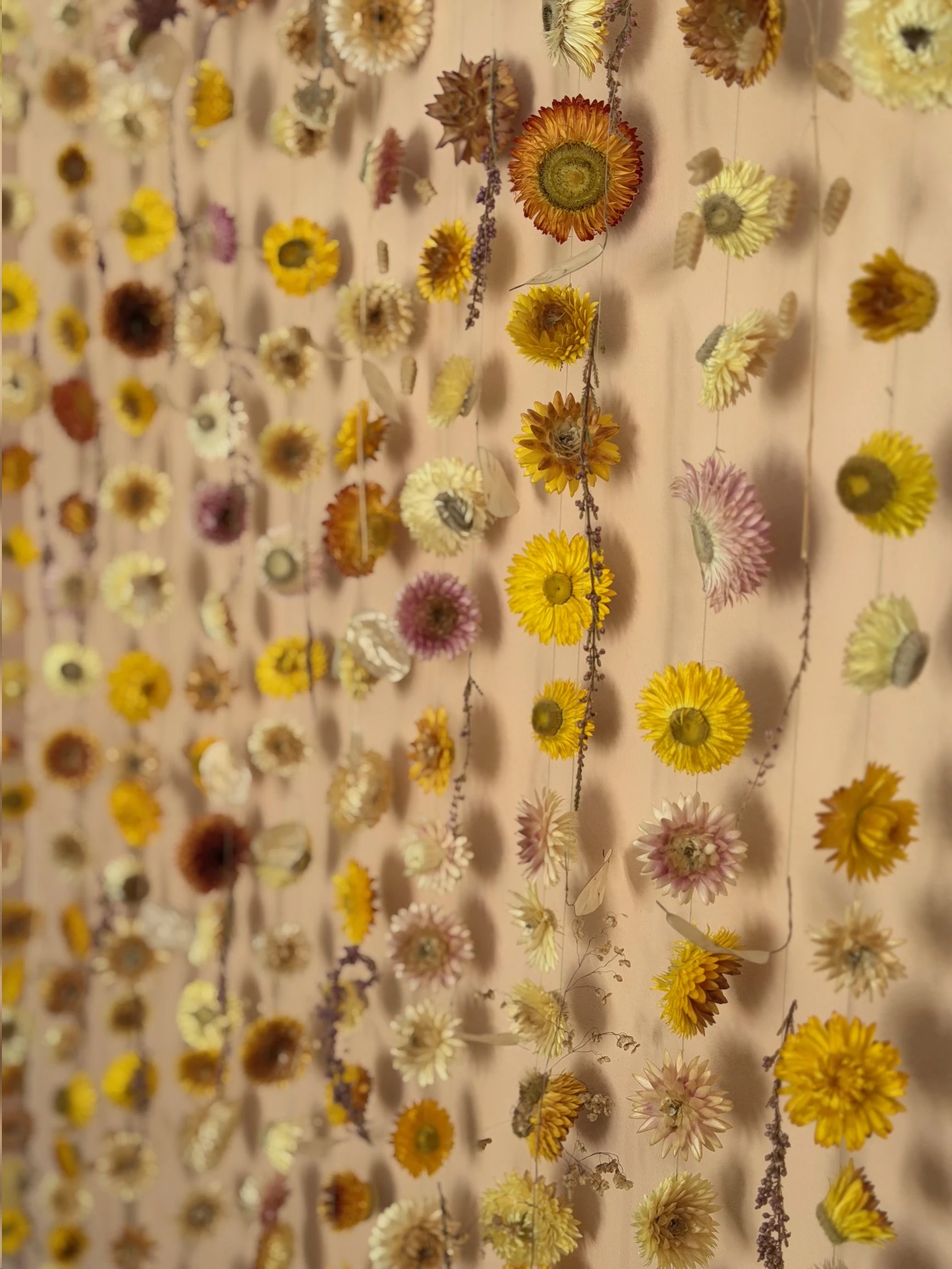 A dried flowers wall hanging with strawflowers, honesty, grass, heather and more