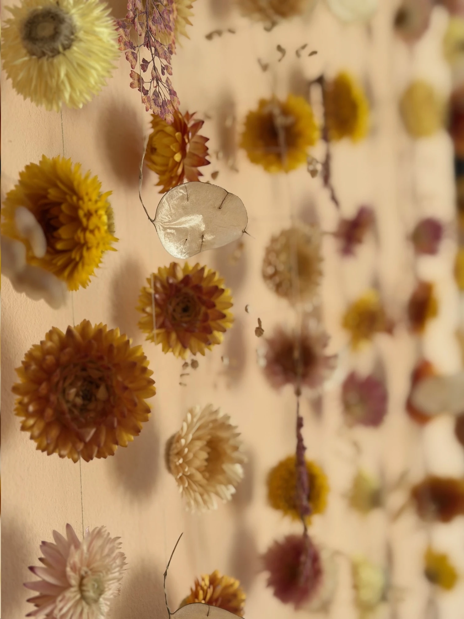 A wall hanging of dried flowers a shiny honesty seed head in the foreground