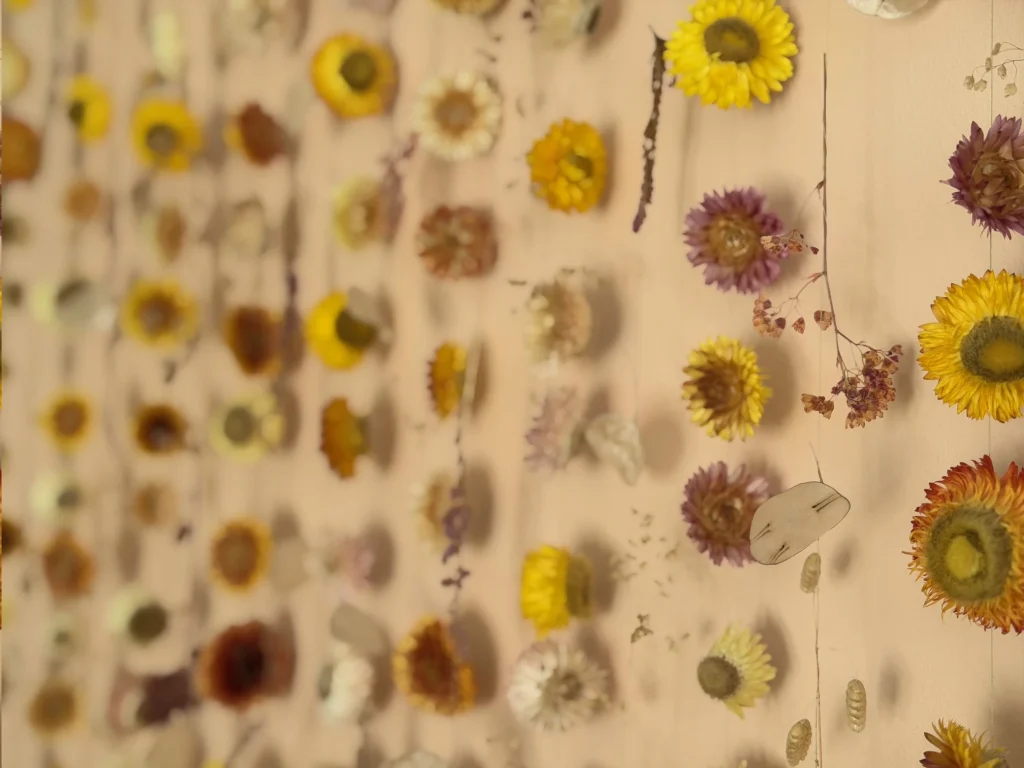 A wall hanging of dried flowers, showing strawflowers, honesty, briza grass, heuchera and heather