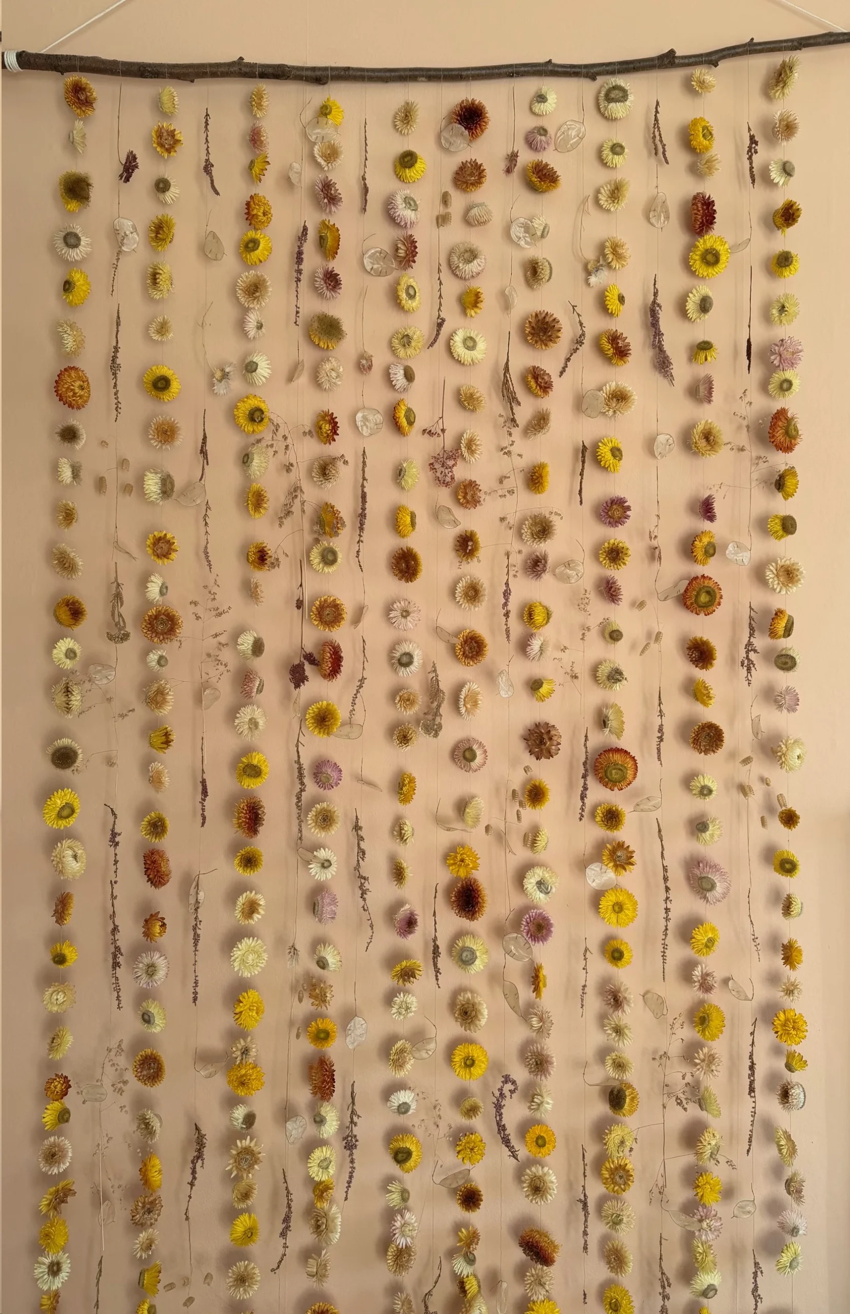 A full view of a dried flowers wall hanging with strawflowers, grasses, honesty and others