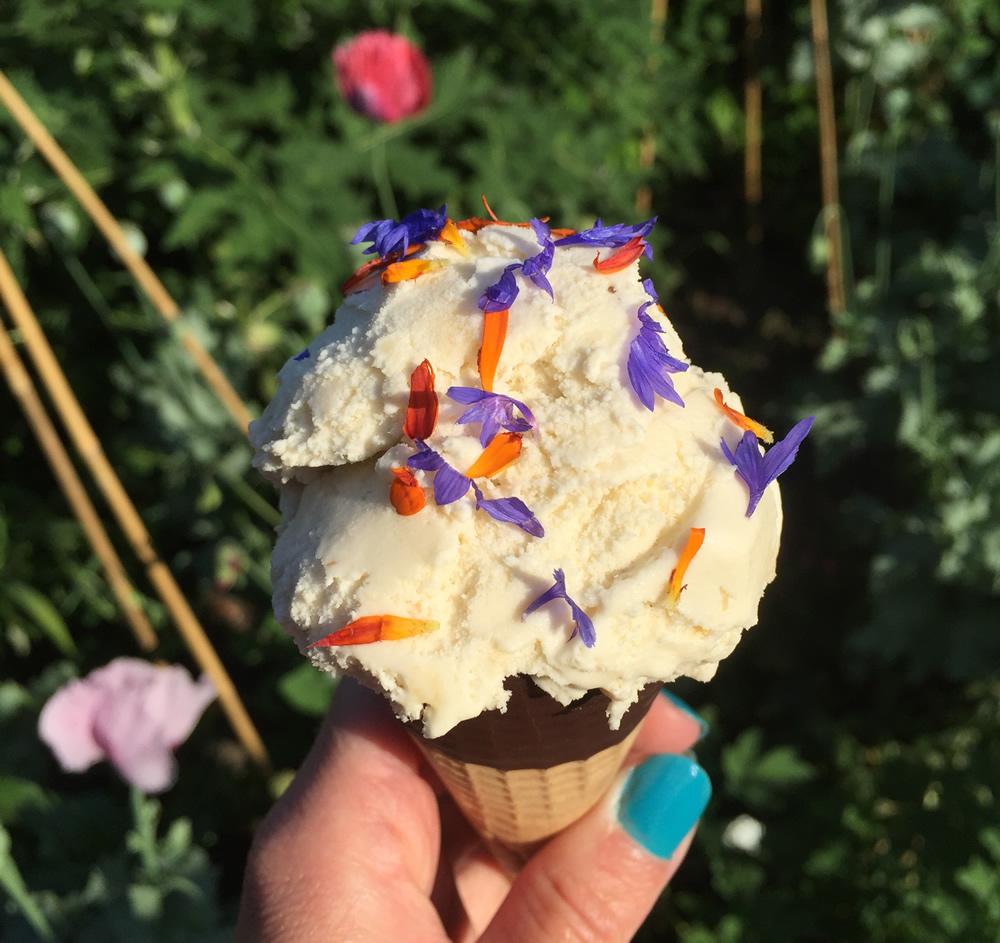 Edible flower ice cream cone sprinkles