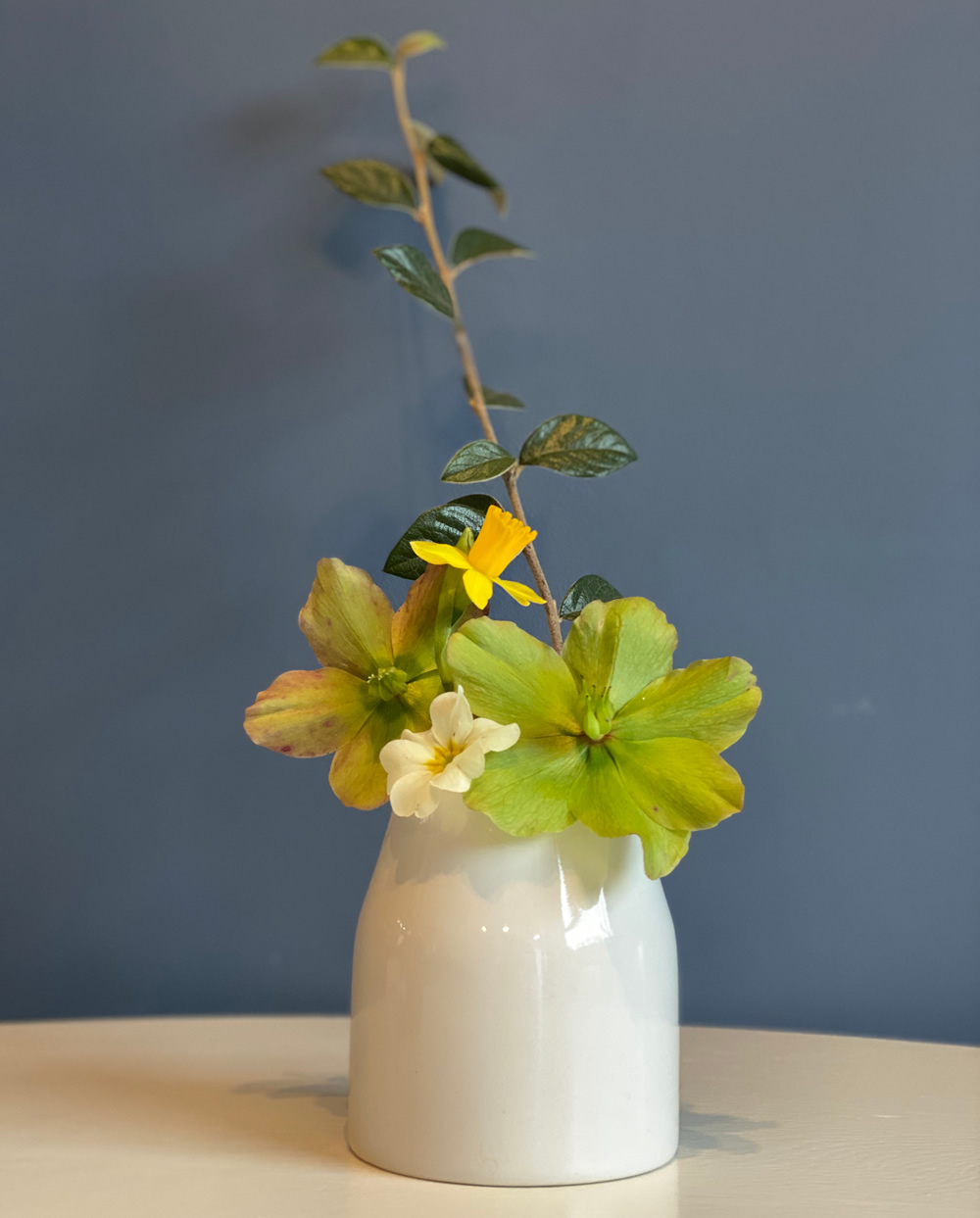 Small flower arrangement with hellebores and cotoneaster