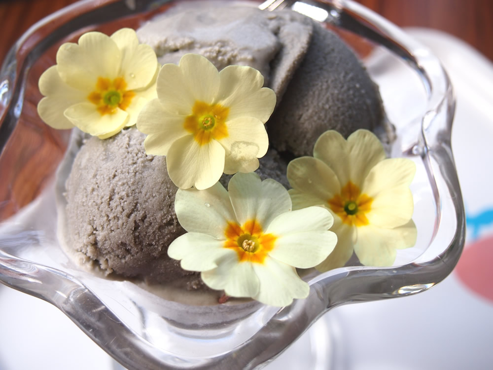 Edible primrose flowers and ice cream