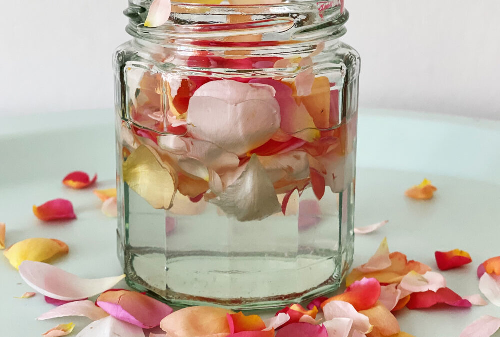 Rose infused hand salve…and plant nostalgia