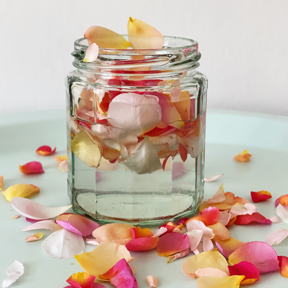 Rose infused coconut oil with rose petals
