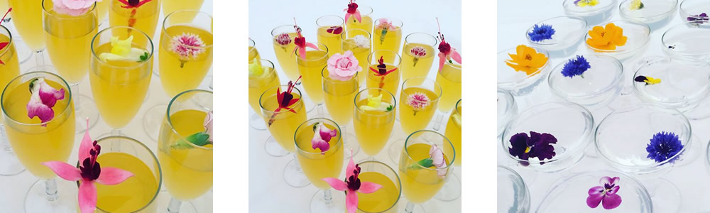 Edible flowers used in Cocktails at The Walled Garden Beeston Fields Nottingham